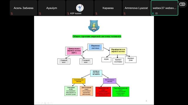 Кисебаев Жанибек Сагатович 28 04 2025
