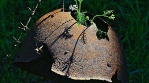 За себя и за того парня..