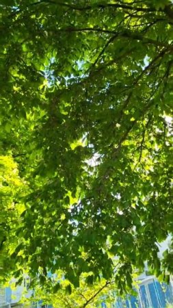 Röyksopp - What Else Is There ? #music #best #nature