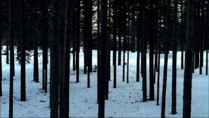 Audi - Vorsprung durch Technik