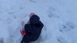 Снег 29 апреля 25г