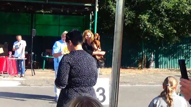 Гамми в БЭСТе на выставке собак (август 2023г.) смотреть онлайн