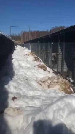 Вот чем закончился апрельский снегопад для новенькой площадки МП г.Перми