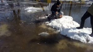 Мальчик упал лужу