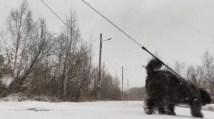 29 апреля 2025