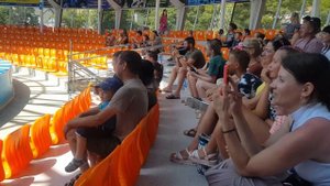 Дельфинарий Джубга