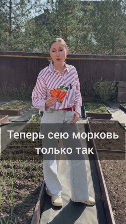 Теперь сею морковь только так