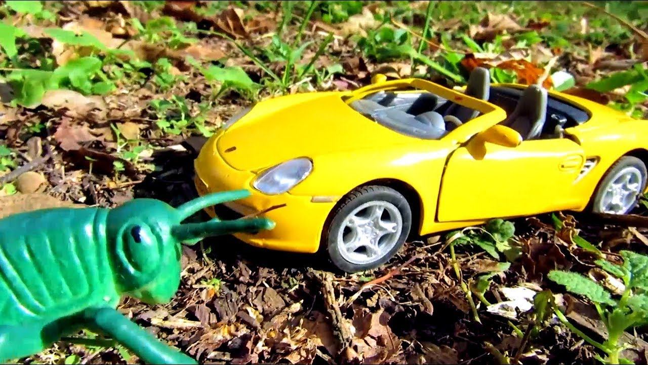 Игрушечные машинки и насекомые в лесу. Видео для детей смотреть онлайн