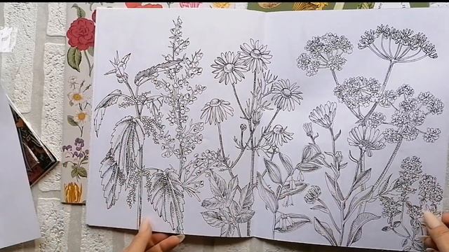 БОТАНИКА🌷ОВОЩИ🥕ТРАВЫ🌿 обзор на раскраски издательства Жёлудь