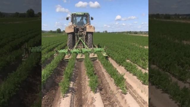 Культиватор окучник навесной КОЛНАГ  нарезка гребней под картофель
