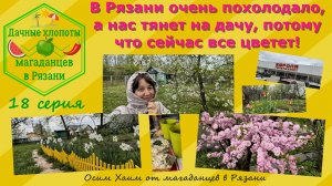 В Рязани похолодало, а нас тянет на дачу, потому что все цветет! Район Европы, Шереметьево. 18 сери