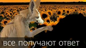 А если честно? Meme WildCraft