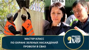 Как защитить деревья при благоустройстве