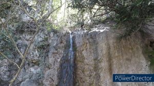 Апрельская песня Малого Куртлера