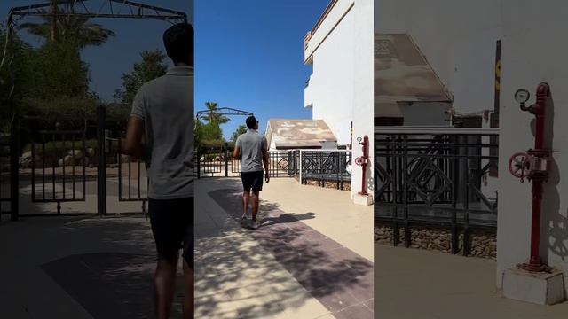 Gafy resort hotel Sharm elshiek +201014610126 Arnold Spa Говорят по русски. Mohamed смотреть онлайн