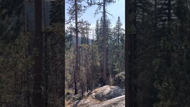 Национальный Парк Секвойя Sequoia National Park