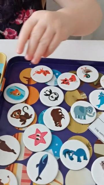 Играем в магнитную игру magneticus.