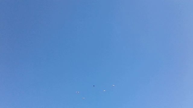 20250428_085944 Бакинцы