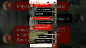 Переписка СССР и Рейха "А ты милый"часть 1