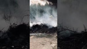 Мы дарим надежду.