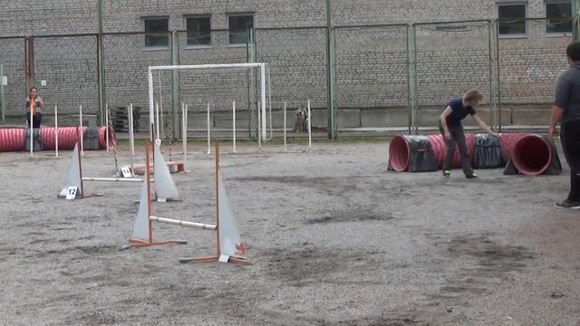 Бескоровайная Татьяна и шпиц Ники. D-Open смотреть онлайн