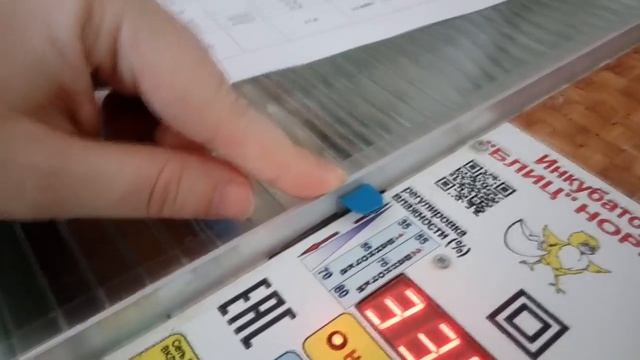 Инкубация для начинающих. Выводим цыплят в инкубаторе Блиц Норма на 72 яйца.
