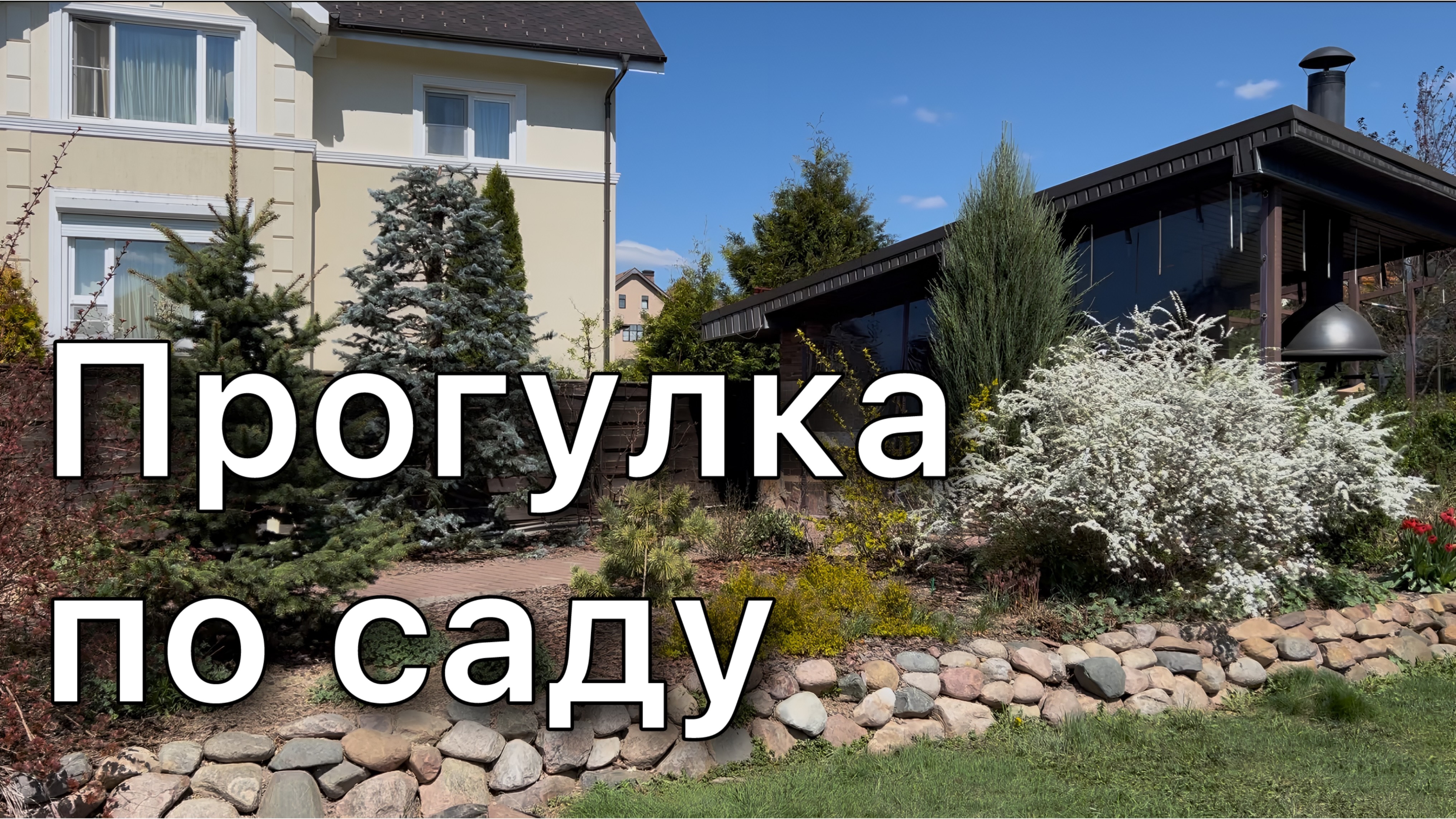 Обзор РАСТЕНИЙ Цветущие кустарники Луковичные ОБРЕЗКА ХВОЙНЫХ  Дневник садовода