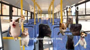 POV:мои будни