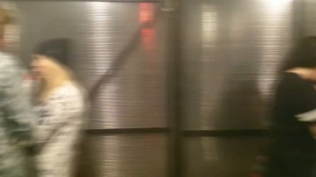 Космический Рейв 2015 / kosmoreyv in Spaice смотреть онлайн