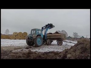 Грузим навоз куном СТС-0,9