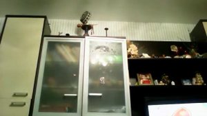 веном в реальной жизни