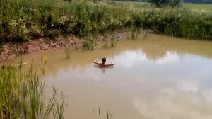 Ловля карпа руками