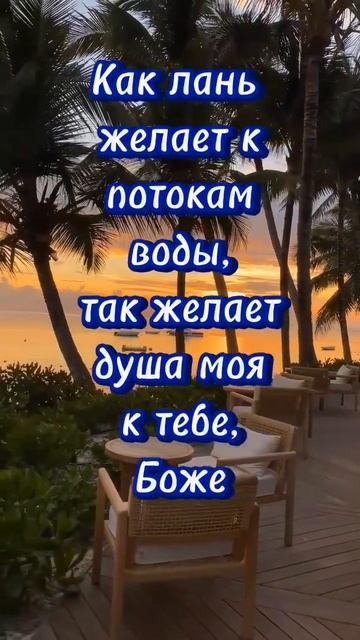 #shorts_video#faith#godpower#god#faithfull#strength#soul#spirit#spiritual#spiritualgrowth#тыможешь
