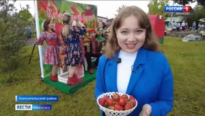 В Комсомольском районе прошел фестиваль  "Подозерская клубника"