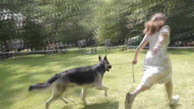 Виктор смотреть онлайн