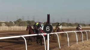 Пойга отлар YouTube #SHORTS