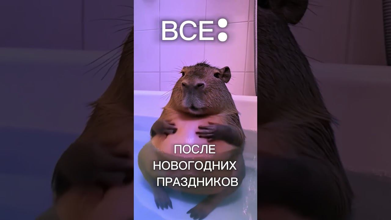 Поделись…  #новогодниепраздники #праздники #новыйгод2025