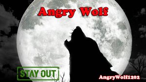 Расшифровка кодов. Description of codes. Stalker Online (Stay Out). EU1 US1