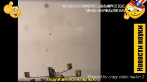 Роботы Пчелы. Гарвардский университет США.