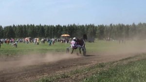 Сабантуй 2023,Конные скачки, Зианчуринский район