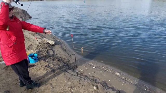 Густера на реке в апреле 2024 смотреть онлайн