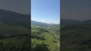 Продаю в Горном Алтае . Базу и мараловодческую ферму