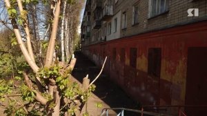 В Ярославле в подвале многоэтажки ловили рыбу