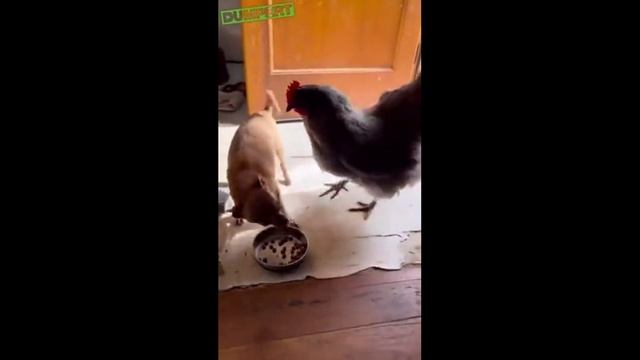 САМОЕ СВЕЖЕЕ и Сочное! ССЫЛКА В ОПИСАНИИ!