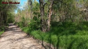 Дикий Донецк.Видео от первого лица