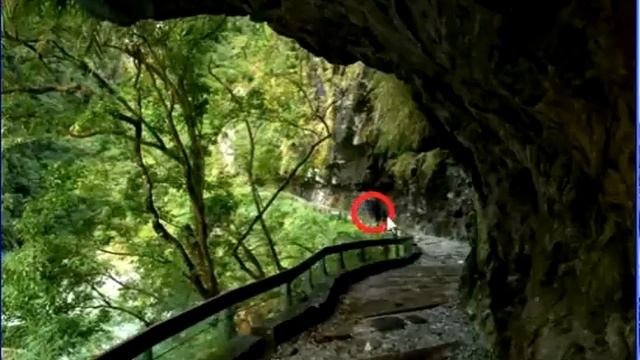 Найди кота в одноклассниках ответы на 291, 292, 293, 294, 295 уровни смотреть онлайн