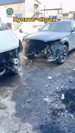 НОВЫЙ CHERY или СТАРЫЙ NISSAN?

#автоприколы #автоюмор #автомемы #мемы #приколы #автоподбор