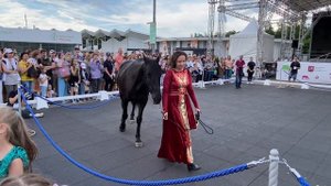 Карачаевская порода лошади