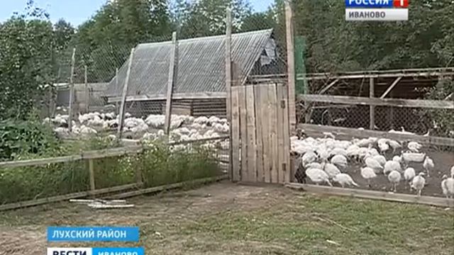 Ска'n'ворд - Краудфандинг Иваново СЮЖЕТ от 10 08 16