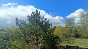 Цветущая вишня 🍒 29/04/2025 #весна #подмосковье #2025 #сад #вишня #садидача